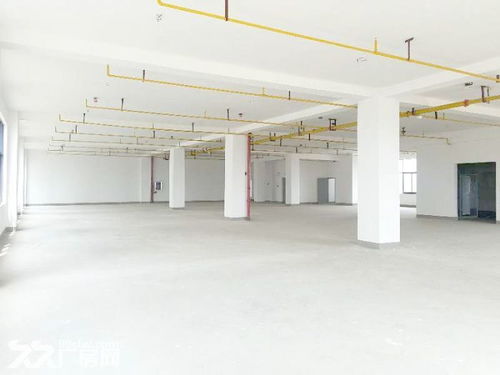 武汉光谷新动力优质厂房出租，800平米仅20元/平，软件开发理想之选